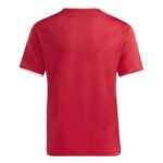adidas Junior Entrada 26 T-shirt JZ2523 - Image 2