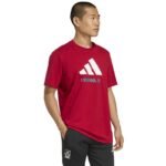 adidas Liverpool FC Seasonal DNA Graphic Tee 2 JY3466 - Image 3