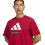 adidas Liverpool FC Seasonal DNA Graphic Tee 2 JY3466 - Image 4