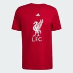 adidas Liverpool LFC DNA T-shirt JW7894