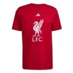adidas Liverpool LFC DNA T-shirt JW7894 - Image 4