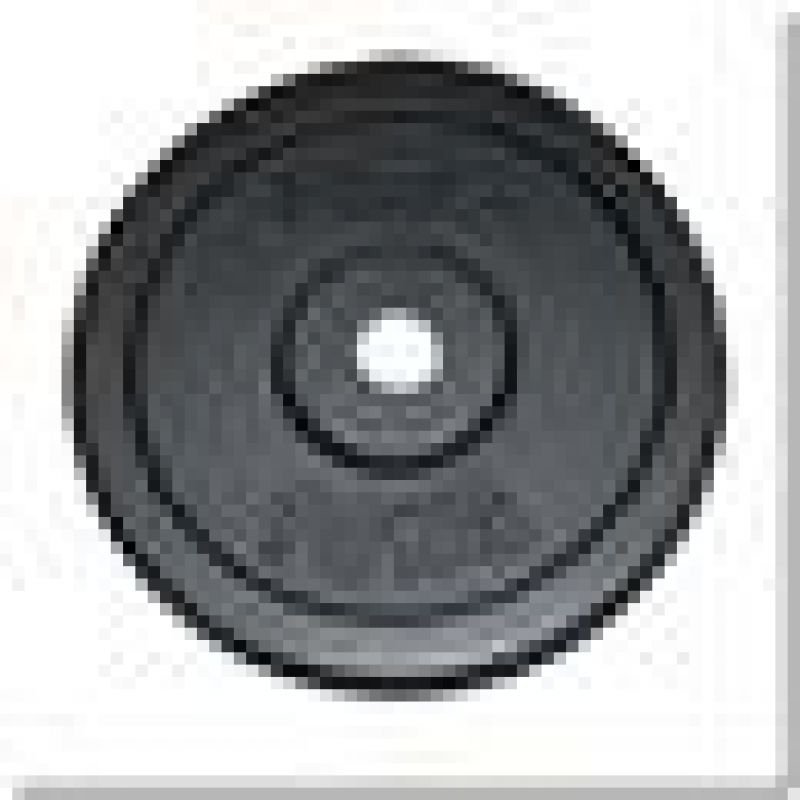lupin-wear-ca-black-plate-5kg-hms-tcz05-17-61-003-338952 Black plate 5kg HMS TCZ05 17-61-003 - Image 1