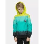 Boys cotton hoodie 4F 4FJWSS26TSWSM3184-90A