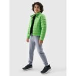 Boys down jacket with synthetic filling 4F 4FJWSS25TDJAM520-45S - Image 3