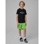 Boys quick-drying sports T-shirt 4F 4FJRSS26TFTSM2390-20S - Image 6