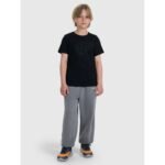Boys regular printed T-shirt 4F 4FJRMM00TTSHM3255-20S - Image 2
