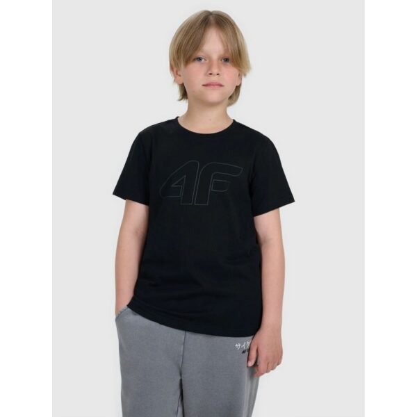 Boys regular printed T-shirt 4F 4FJRMM00TTSHM3255-20S