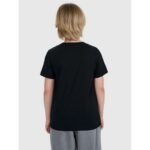 Boys regular printed T-shirt 4F 4FJRMM00TTSHM3255-20S - Image 4