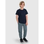 Boys regular printed T-shirt 4F 4FJRMM00TTSHM3255-31S - Image 3