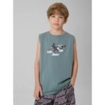 Boys regular sleeveless T-shirt with print 4F 4FJRSS26TSLEM354-46S