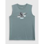 Boys regular sleeveless T-shirt with print 4F 4FJRSS26TSLEM354-46S - Image 5