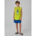 Boys boardshorts 4F 4FJWSS26UBDSM203-45S