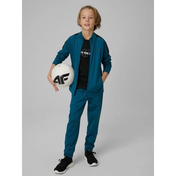 Boys quick-drying sports pants 4F 4FJRSS26TFTRM1460-46S
