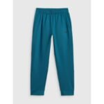Boys quick-drying sports pants 4F 4FJRSS26TFTRM1460-46S - Image 7