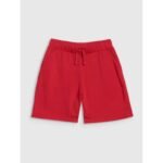 Boys sweatpants 4F 4FJWSS25TSHOM627-62S - Image 4