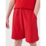 Boys sweatpants 4F 4FJWSS25TSHOM627-62S - Image 5