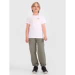 Boys t-shirt with print 4F 4FJWAW25TTSHM2417-10S - Image 4