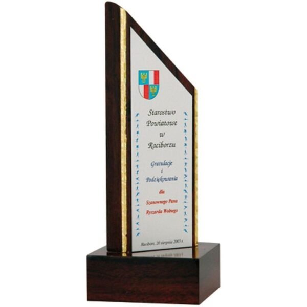 Engraved plastic trophy