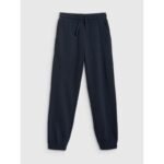 Girls jogger sweatpants 4F 4FJWMM00TTROF1189-31S - Image 7