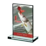Glass trophy with LuxorJet color print - Image 4