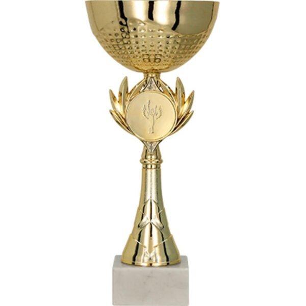 Gold metal cup