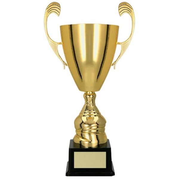 Gold metal cup TS