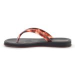 IPANEMA GLOW TRENDY AD BLACK/TURTLE/BROWN 27419-BR843 - Image 4
