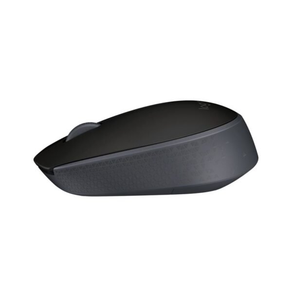 Logitech M171 Mouse 910-004424 (optical; 1000 DPI; black)