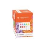 MARIOINEX Mini Waffle Blocks, 300 pieces - Image 4