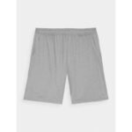Mens 4F quick-drying regular training shorts 4FWAW24TFSHM697-25M - Image 4