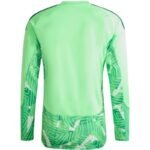 Mens adidas Tiro 26 Competition Goalkeeper Jersey Long Sleeve Green KB5249 - Image 3
