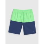 Mens boardshorts 4F 4FWSS25UBDSM135-42S - Image 2