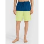 Mens boardshorts 4F 4FWSS25UBDSM135-45S