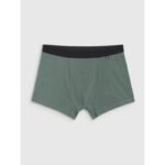 Mens boxer shorts (2-pack) 4F 4FWAW25UBXSM062 4F 4FWAW25UBXSM062-92S - Image 2