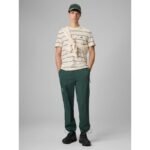 Mens casual joggers 4F 4FRSS26TTROM1915-40S