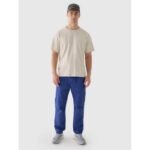 Mens casual trousers 4F 4FRAW24TTROM1349-31S