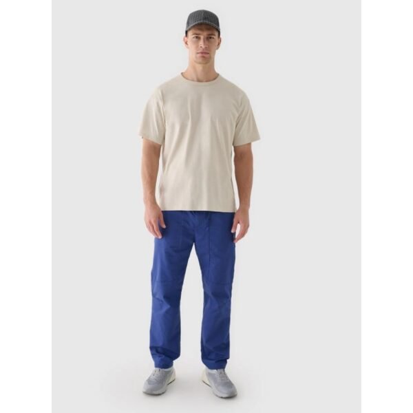 Mens casual trousers 4F 4FRAW24TTROM1349-31S