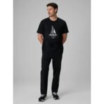 Mens casual trousers 4F 4FRSS26TTROM1963-20S