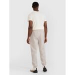 Mens casual trousers 4F 4FWSS25TTROM1001-83S - Image 2