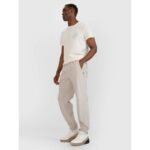 Mens casual trousers 4F 4FWSS25TTROM1001-83S - Image 3