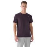 Mens cotton T-shirt 4F 4FWSS26TTSHM4484-50S