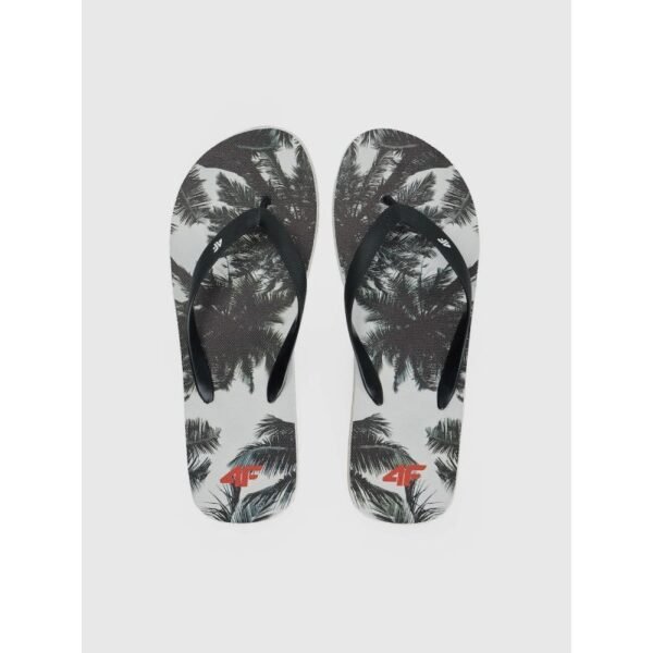 Mens flip-flops 4F 4FRSS26FFLIM246-21A