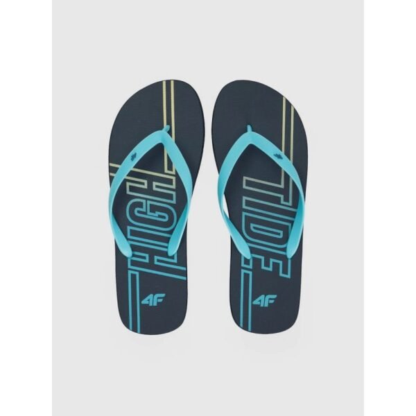 Mens flip-flops 4F 4FRSS26FFLIM246-31S