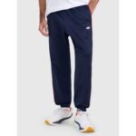 Mens jogger sweatpants 4F 4FRAW25TTROM1611-31S