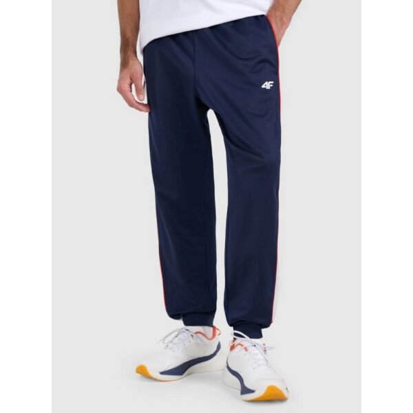 Mens jogger sweatpants 4F 4FRAW25TTROM1611-31S