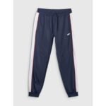 Mens jogger sweatpants 4F 4FRAW25TTROM1611-31S - Image 7