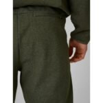 Mens jogger sweatpants 4F 4FRAW25TTROM1691-43M - Image 5