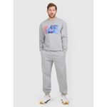 Mens jogger sweatpants 4F 4FRAW25TTROM1832-27M