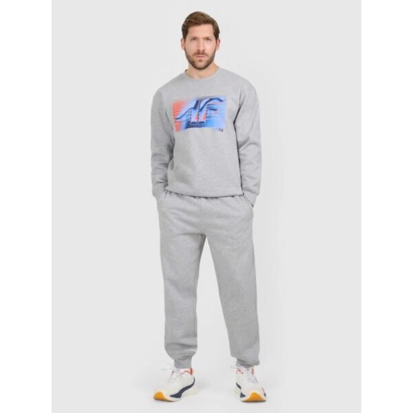 Mens jogger sweatpants 4F 4FRAW25TTROM1832-27M