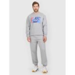 Mens jogger sweatpants 4F 4FRAW25TTROM1832-27M - Image 4